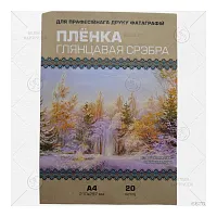  Пленка глянцевая СЕРЕБРО для струйного принтера, А4*20 листов купить в Restart